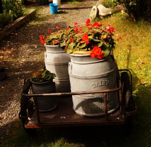 Two antique milk cans filled with red flowers on top of a wagon